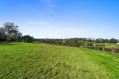 Acreage/Semi-rural For Sale - NSW - Bilpin - 2758 - Live, Grow, and Thrive: The Ultimate Commercial & Rural Retreat  (Image 2)