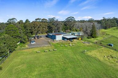 Acreage/Semi-rural For Sale - NSW - Bilpin - 2758 - Live, Grow, and Thrive: The Ultimate Commercial & Rural Retreat  (Image 2)