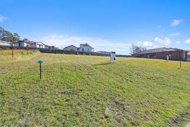 Residential Block For Sale - VIC - Churchill - 3842 - ATTENTION BUILDERS & DEVELOPERS (Image 2)