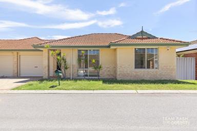 House For Sale - WA - Gosnells - 6110 - Quality 3x2 Living – Perfect for FHBs, Downsizers or Investors  (Image 2)