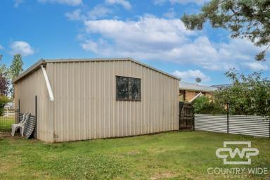 House Sold - NSW - Glen Innes - 2370 - Family Living with Space Inside and Out  (Image 2)