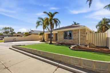 House For Sale - WA - Alexander Heights - 6064 - Freshly Updated Cul-de-Sac Gem with Tradies Shed! (Image 2)