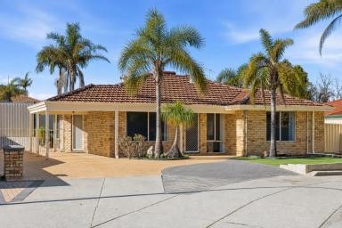 House For Sale - WA - Alexander Heights - 6064 - Freshly Updated Cul-de-Sac Gem with Tradies Shed! (Image 2)