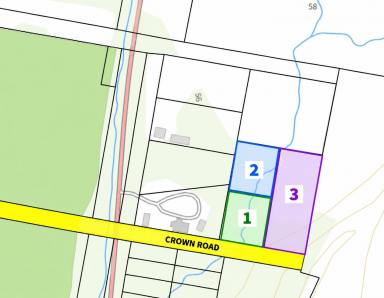 Residential Block For Sale - TAS - Strahan - 7468 - Private Bushland Retreat Close to Town  (Image 2)
