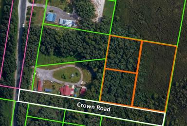 Residential Block For Sale - TAS - Strahan - 7468 - Private Bushland Retreat Close to Town  (Image 2)
