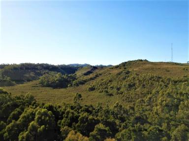 Residential Block For Sale - TAS - Strahan - 7468 - Private Bushland Retreat Close to Town (Image 2)