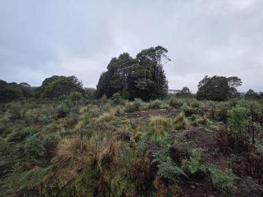 Residential Block For Sale - TAS - Waratah - 7321 - 5.9 Acres of Peaceful Rural Living  (Image 2)