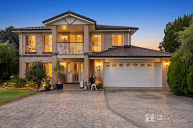 House For Sale - QLD - Rosenthal Heights - 4370 - Where Grand Living Meets Country Freedom  (Image 2)
