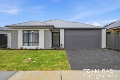House For Sale - WA - Banksia Grove - 6031 - ULTIMATE FAMILY HOME - 2025 BUILT!! (Image 2)