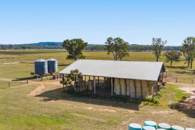 Mixed Farming Auction - QLD - Nanango - 4615 - FIRST TIME OFFERED IN 90 YEARS! "CAMDEN" – A South Burnett Legacy of Productivity, Water Security & Family Heritage (Image 2)