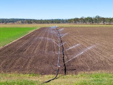 Mixed Farming Auction - QLD - Nanango - 4615 - FIRST TIME OFFERED IN 90 YEARS! "CAMDEN" – A South Burnett Legacy of Productivity, Water Security & Family Heritage (Image 2)