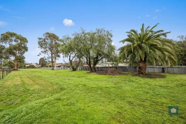 Residential Block For Sale - VIC - Birregurra - 3242 - Charming Land Opportunity…  (Image 2)