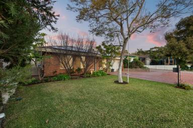 House For Sale - WA - Osborne Park - 6017 - Fully Renovated Tropical Oasis (Image 2)