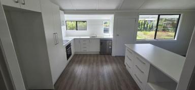 House For Sale - QLD - Ingham - 4850 - LARGELY RENOVATED HOME -  NOW READY FOR INSPECTIONS!  (Image 2)