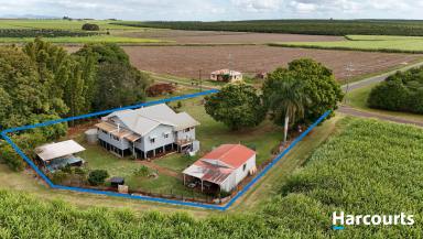 House For Sale - QLD - North Isis - 4660 - GRAND OLD LADY (Image 2)