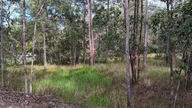 Residential Block For Sale - QLD - Glenwood - 4570 - Peaceful Acreage with Dam (Image 2)