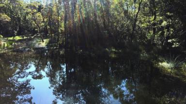 Lifestyle For Sale - NSW - Gibberagee - 2469 - UNIQUE, UNTOUCHED AND UNPRETENTIOUS  (Image 2)