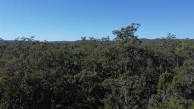 Lifestyle For Sale - NSW - Gibberagee - 2469 - UNIQUE, UNTOUCHED AND UNPRETENTIOUS  (Image 2)