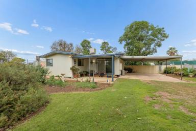 House For Sale - VIC - Iraak - 3494 - RURAL LOCATION CLOSE TO THE RIVER  (Image 2)