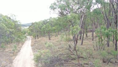 Lifestyle For Sale - NSW - Halls Creek - 2346 - ESCAPE TO YOUR OWN RURAL RETREAT  (Image 2)
