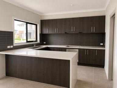 House For Lease - VIC - Berwick - 3806 - For Lease Modern Family Home in Prime Berwick Location (Image 2)