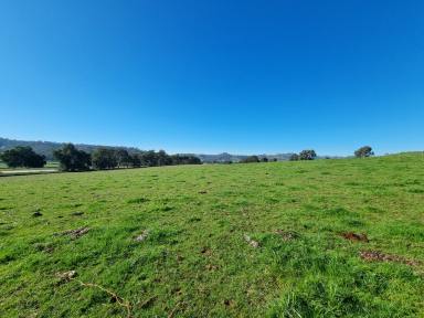 Residential Block For Sale - NSW - Gundagai - 2722 - 22 Acres on the Hume Highway  (Image 2)