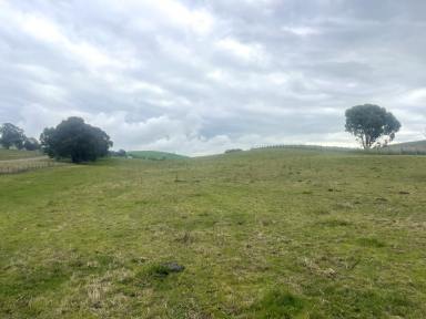Residential Block For Sale - NSW - Gundagai - 2722 - 22 Acres on the Hume Highway (Image 2)