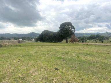 Residential Block For Sale - NSW - Gundagai - 2722 - 22 Acres on the Hume Highway (Image 2)