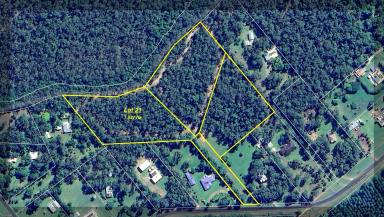 Residential Block For Sale - QLD - Cardwell - 4849 - Picturesque Rural Lifestyle Acreage - Ready to Build!  (Image 2)