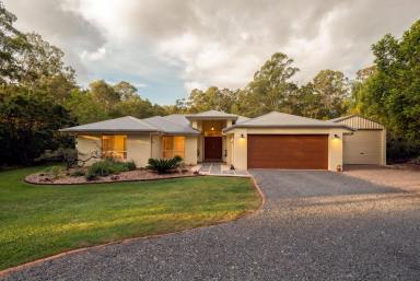 House For Sale - QLD - Black Mountain - 4563 - Space, Serenity and Serious Shedding (Image 2)