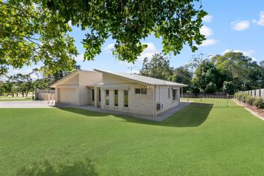 House For Sale - QLD - Pomona - 4568 - Easy-Care Living, 1,362sqm of Land and Huge Shed  (Image 2)