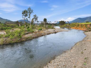 Lifestyle For Sale - NSW - Mount George - 2424 - A Rare Manning River Lifestyle Retreat – 41 Acres of Privacy, Water Frontage & Timeless Charm  (Image 2)