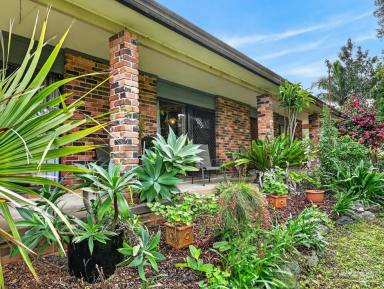 Lifestyle For Sale - NSW - Mount George - 2424 - A Rare Manning River Lifestyle Retreat – 41 Acres of Privacy, Water Frontage & Timeless Charm  (Image 2)