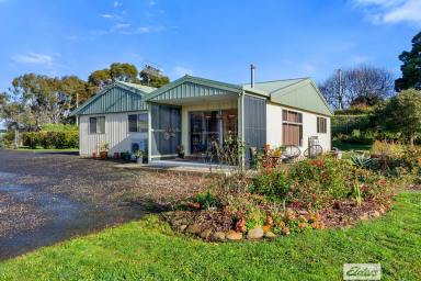 House For Sale - TAS - Elliott - 7325 - The Lifestyle Property That Actually Delivers  (Image 2)