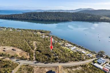 Residential Block For Sale - TAS - Murdunna - 7178 - Private North-Facing Coastal Acreage  (Image 2)