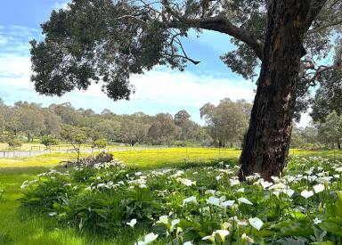 Residential Block For Sale - WA - Mundaring - 6073 - 2.5 Acre Block - Ready To Build And With 135 sqm Shed  (Image 2)