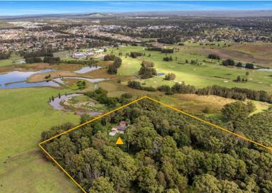 Acreage/Semi-rural For Sale - NSW - Terara - 2540 - Private Resort Style Estate (Image 2)