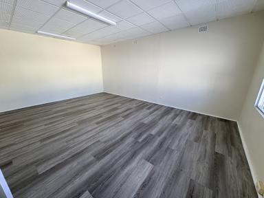 Office(s) For Lease - NSW - Grafton - 2460 - SUPER AFFORDABLE OFFICE, RIGHT IN THE CBD (Image 2)