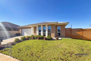House For Lease - NSW - Dubbo - 2830 - Spacious Family Home in Macquarie View Estate (Image 2)