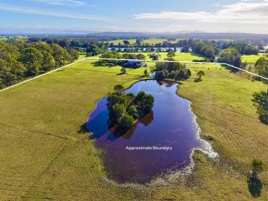 Lifestyle For Sale - NSW - Old Bar - 2430 - Historic Rural Holding with Outstanding Infrastructure on 15.65Ha  (Image 2)