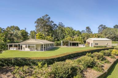 House For Sale - QLD - Pomona - 4568 - Lifestyle, Location & Endless Possibilities on Over 5 Acres  (Image 2)