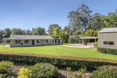 House For Sale - QLD - Pomona - 4568 - Lifestyle, Location & Endless Possibilities on Over 5 Acres (Image 2)