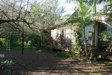 Lifestyle For Sale - NSW - Kyogle - 2474 - 1.4km's OF PRISTINE CREEK FRONTAGE (Image 2)