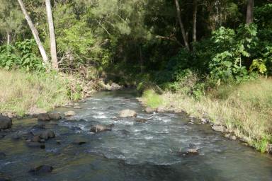 Lifestyle For Sale - NSW - Kyogle - 2474 - 1.4km's OF PRISTINE CREEK FRONTAGE (Image 2)
