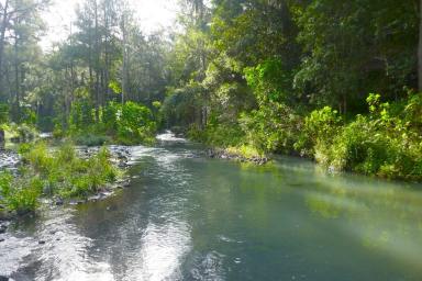 Lifestyle For Sale - NSW - Kyogle - 2474 - 1.4 KM'S OF PRISTINE CREEK FRONTAGE (Image 2)