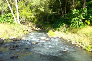 Lifestyle For Sale - NSW - Kyogle - 2474 - 1.4 KM'S OF PRISTINE CREEK FRONTAGE (Image 2)