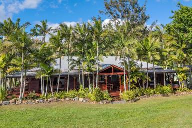 House For Sale - QLD - Black Mountain - 4563 - Spectacular Privacy and Mountain Views  (Image 2)