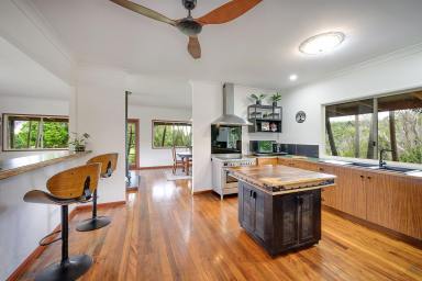 House For Sale - QLD - Black Mountain - 4563 - Spectacular Privacy and Mountain Views  (Image 2)