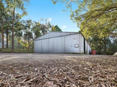 Industrial/Warehouse For Sale - VIC - Foster - 3960 - LARGE SHED IN MIXED USE ZONE CLOSE TO TOWN (Image 2)
