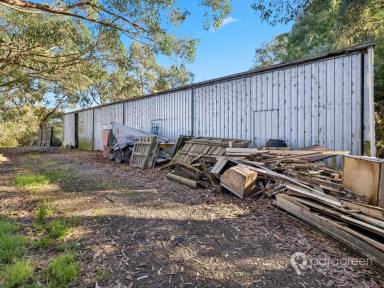 Industrial/Warehouse For Sale - VIC - Foster - 3960 - LARGE SHED IN MIXED USE ZONE CLOSE TO TOWN (Image 2)